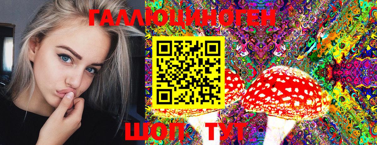 Галлюциногенные грибы Psilocybe  как найти   Оренбург  Галлюциногенные грибы прущие грибы  Вход с VPN 